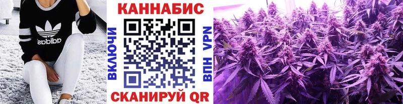 Бошки Шишки OG Kush  Купить закладки  Хвалынск 